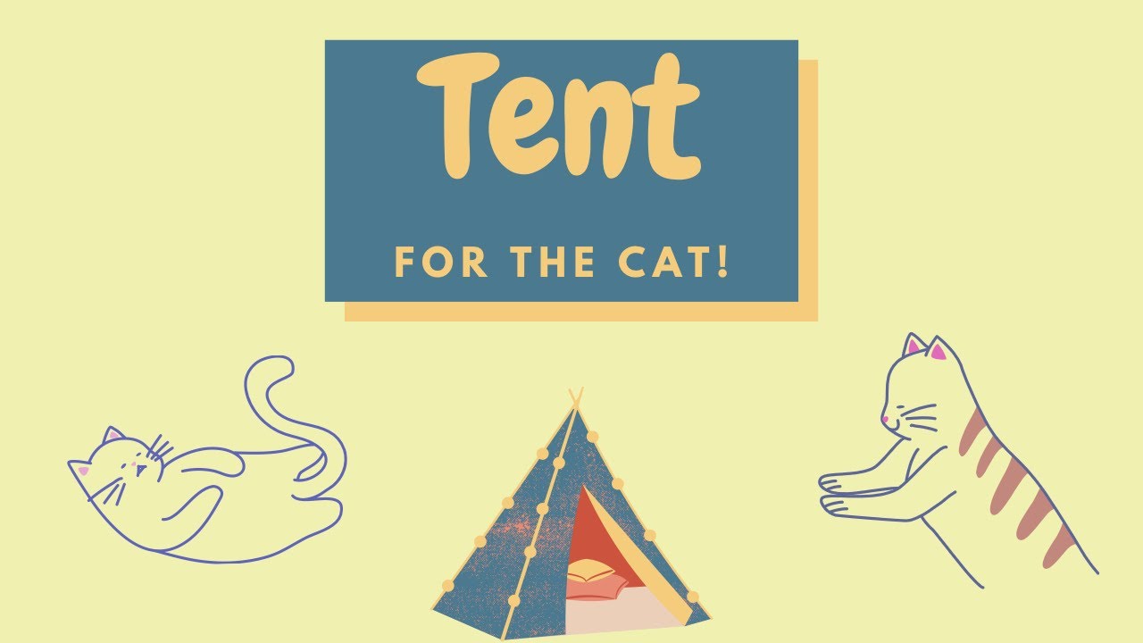 Tent for cats? |  اشترينا خيمة للقطط ⛺️!