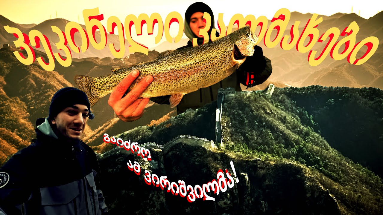 პეკინელი კალმახები 🇨🇳 🐟 ( Beijing trout trip) 