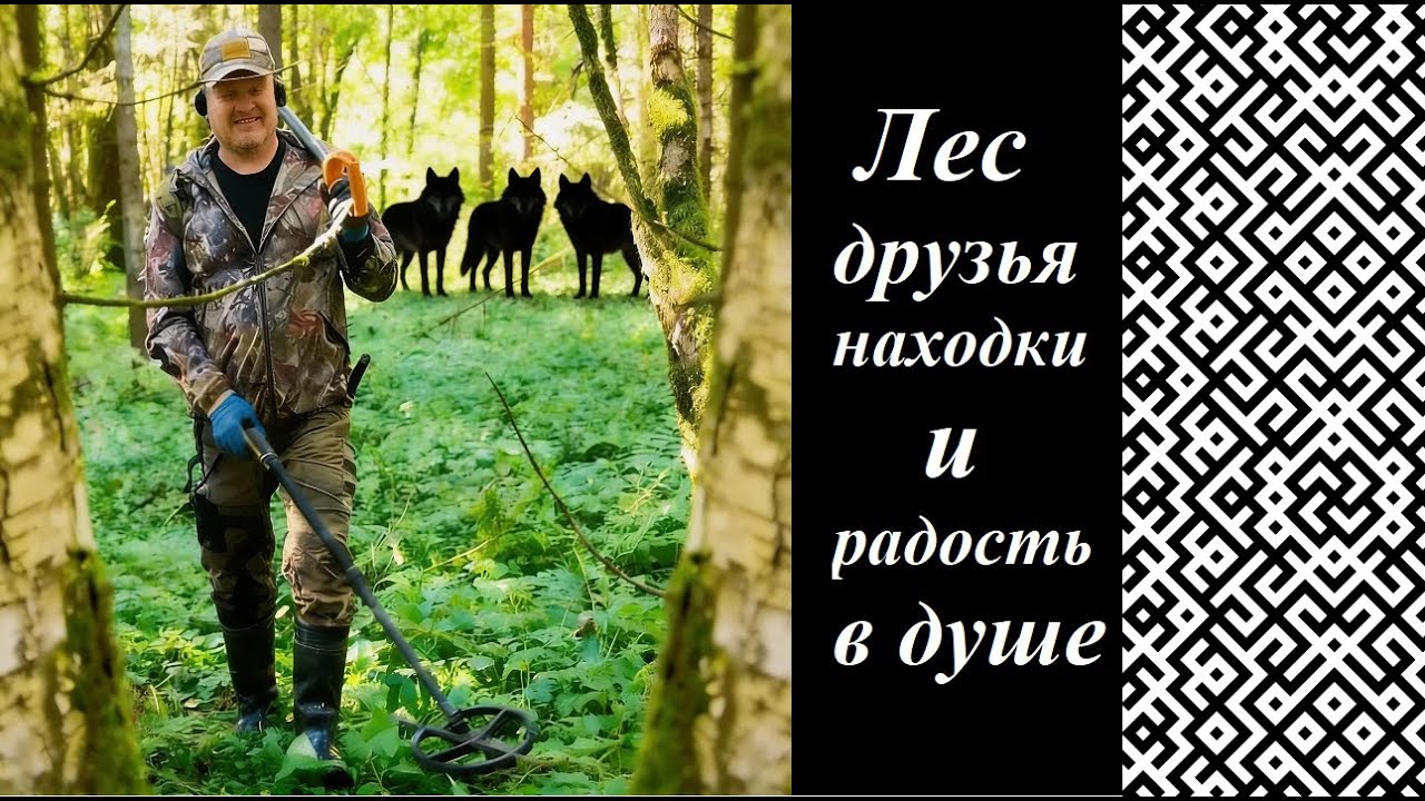 Вот что мы нашли в этом лесу. Последний коп камрада.