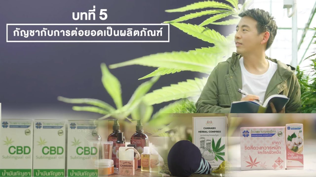 'กัญชา' สู่การต่อยอดผลิตภัณฑ์อันหลากหลาย