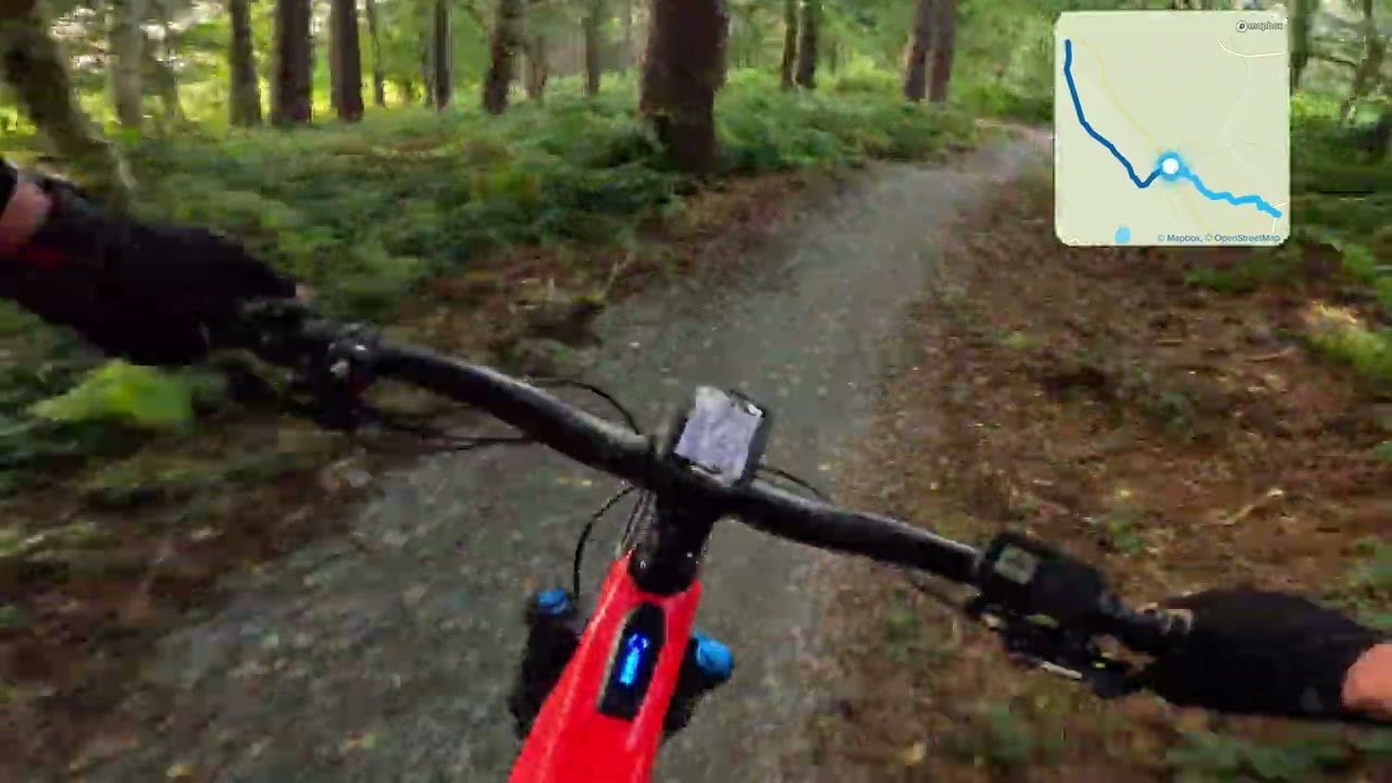 Delamere Forest Cheshire mountain bike trail - GoPro 11