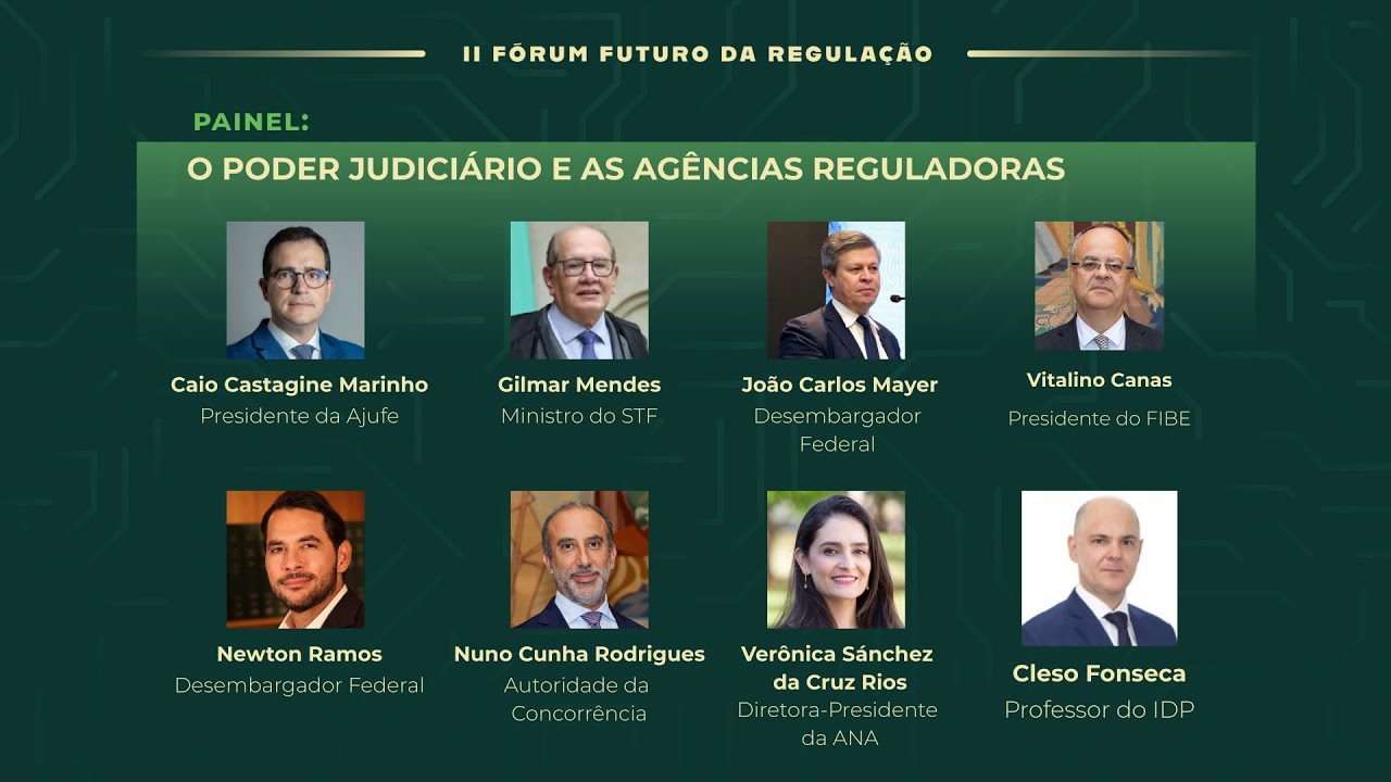 O Judiciário e as Agências Reguladoras