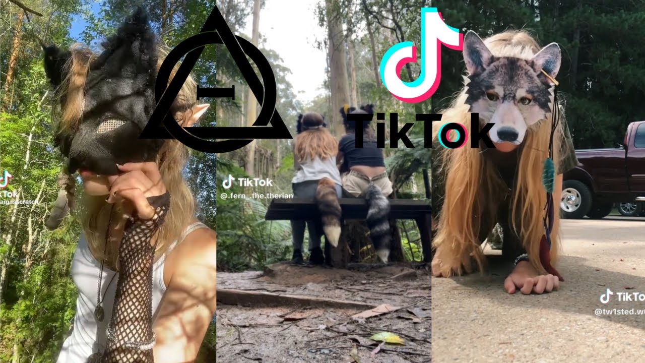 Therian and Quadrobics TikToks || Compilation 🐾🍂 || Alterhumans of TikTok #18
