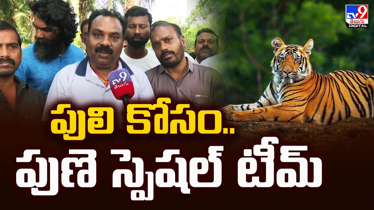 East Godavari : పులి కోసం.. పుణె స్పెషల్ టీమ్ - TV9