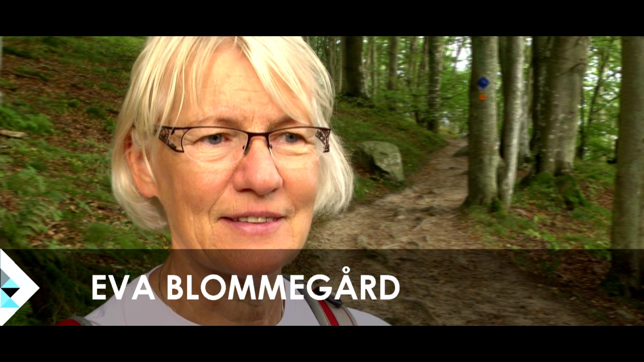 Kullaleden