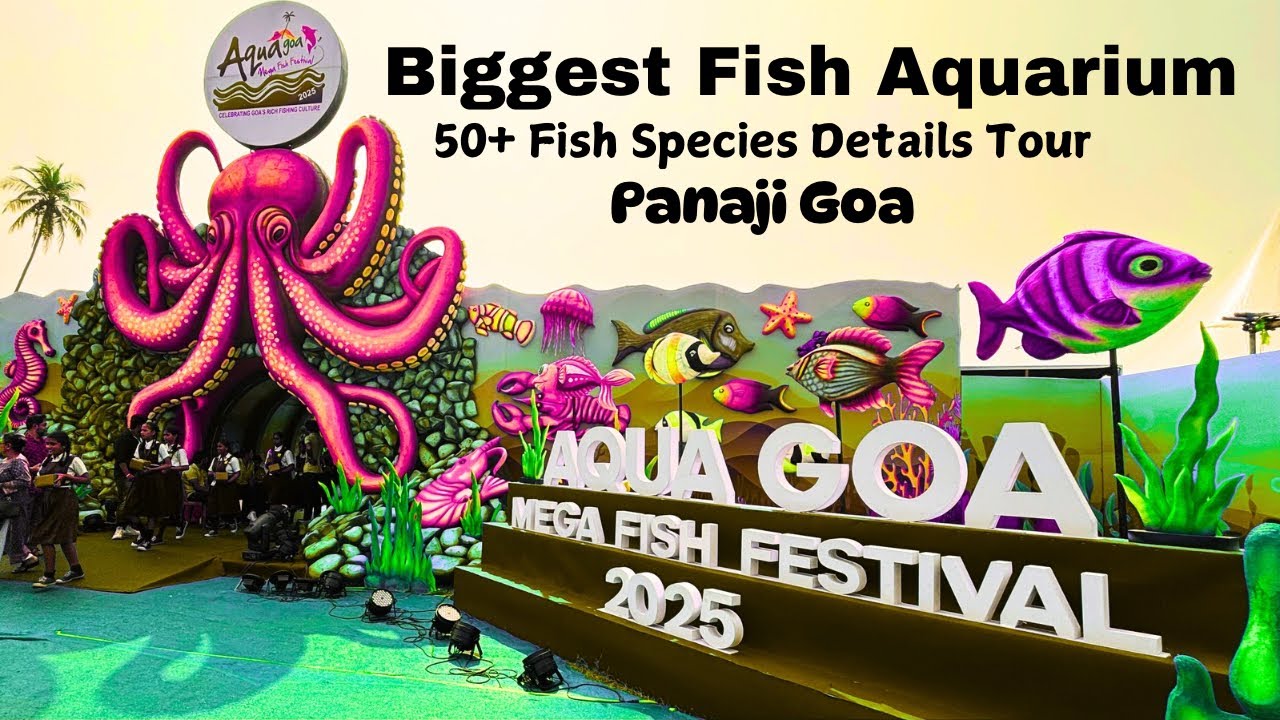 Fish Festival Goa 2025 | Huge Response For Aqua Goa Mega Fish Festival 2025 @ Panaji Goa on Last Day