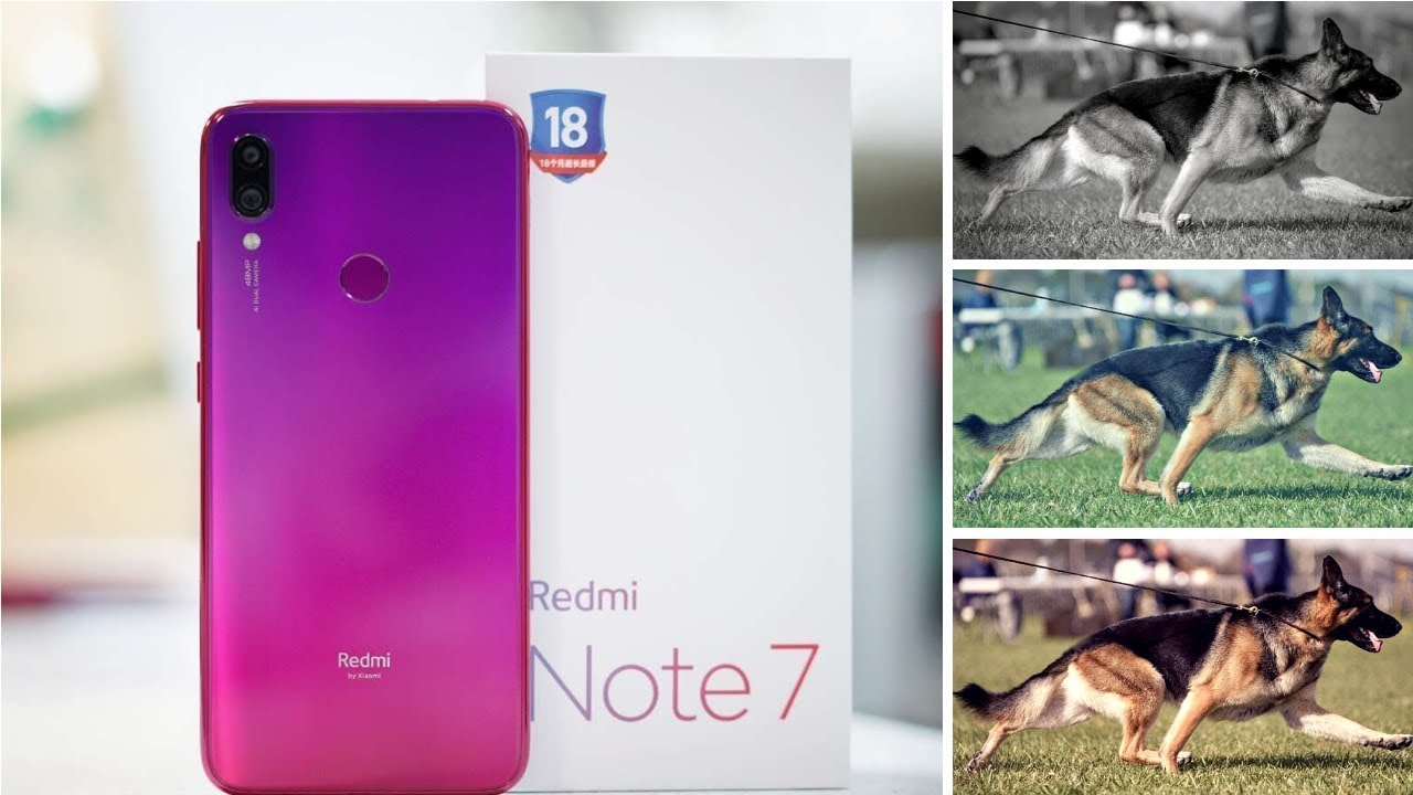 Redmi Note 7 Slow Motion Camera Test