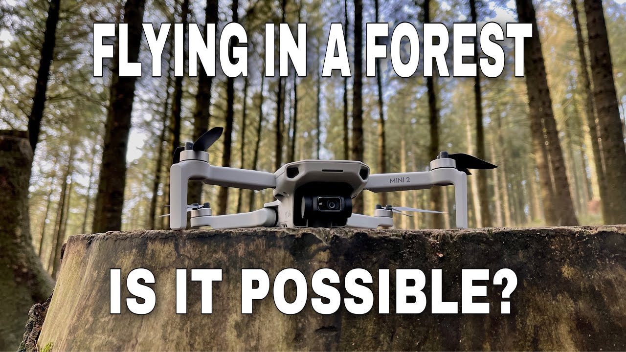 DJI MINI 2 | OCUSYNC TEST FLYING IN A FOREST