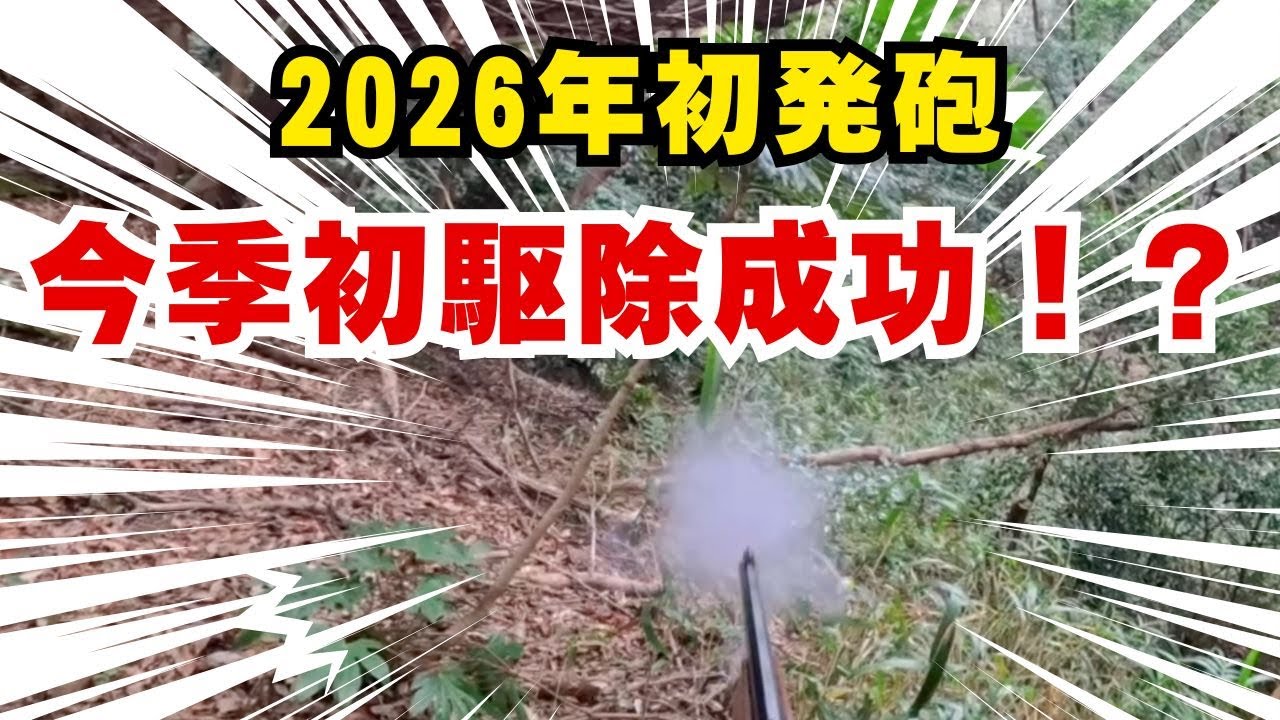 猟犬ブッチャーのおかげでイノシシ🐗の有害鳥獣駆除で2026年初発砲！！