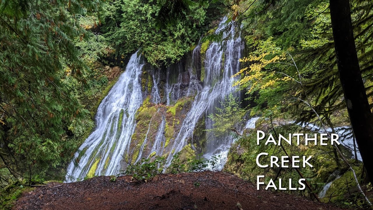 Panther Creek Falls Hike Guide | Carson, Washington