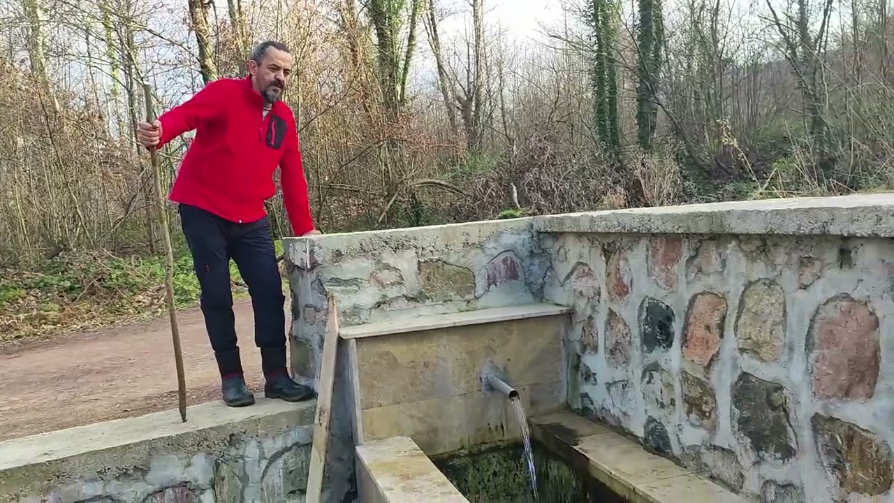 YALAK TEMİZLİĞİ