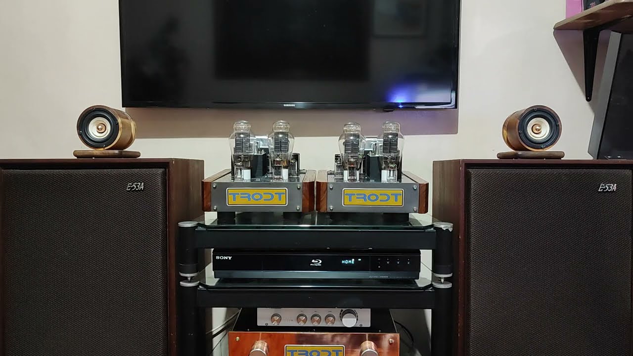 Trodt 2A3 SET-Parallel Amp ( Monos) with Trodt MM/MC (Active) Phonostage