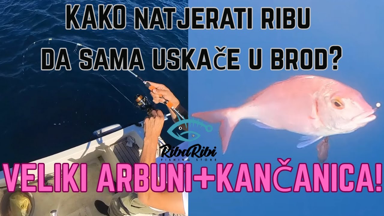 RIBOLOV VELIKOG ARBUNA-RIBARIBI VS DAVID