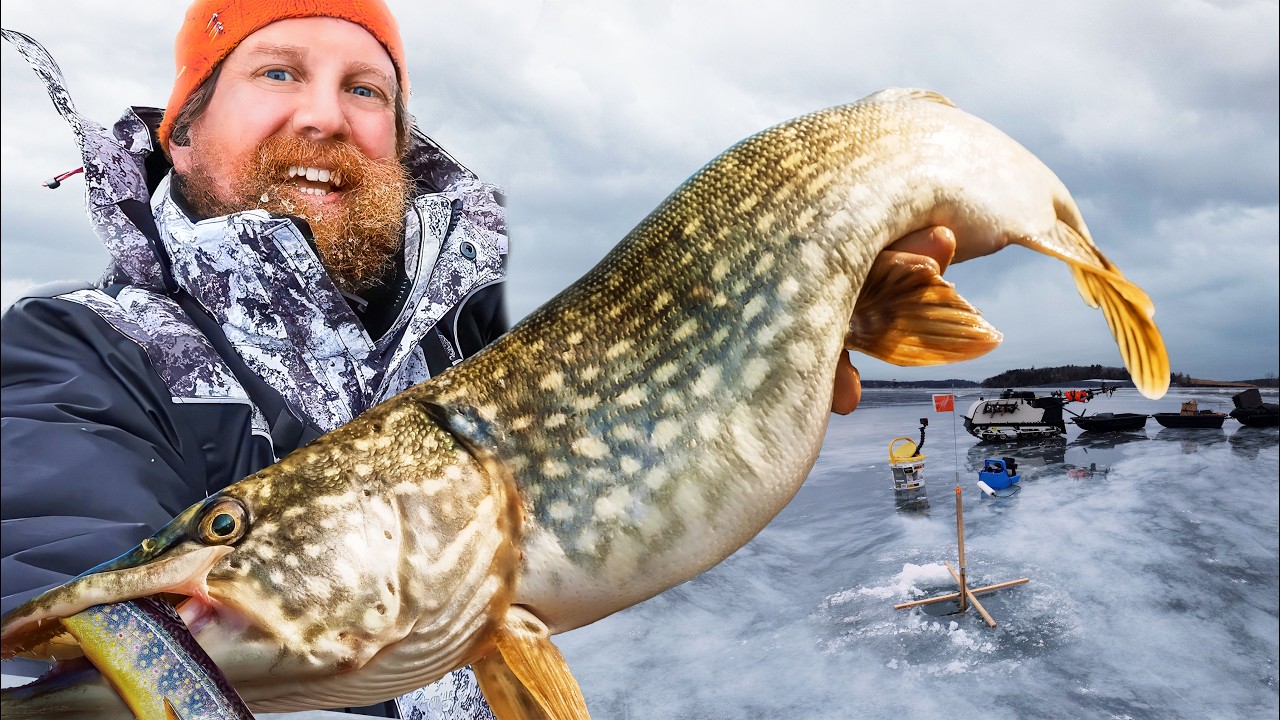 Maine Northern Pike Catch, Cook, and Gyotaku
