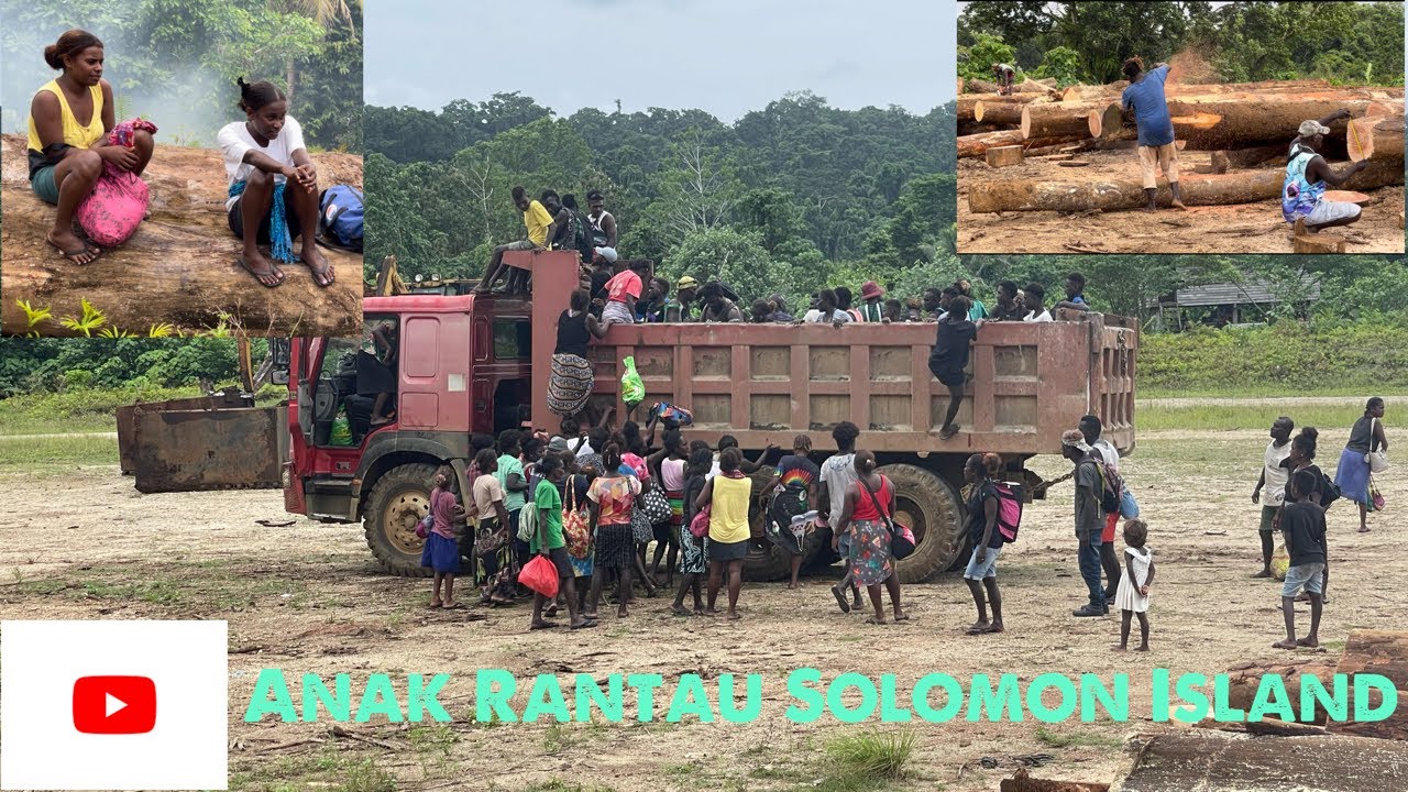 Suasana Logpond di Pagi Hari//Satu Kampung Serbu Kem//Banyak Empurau Solomon