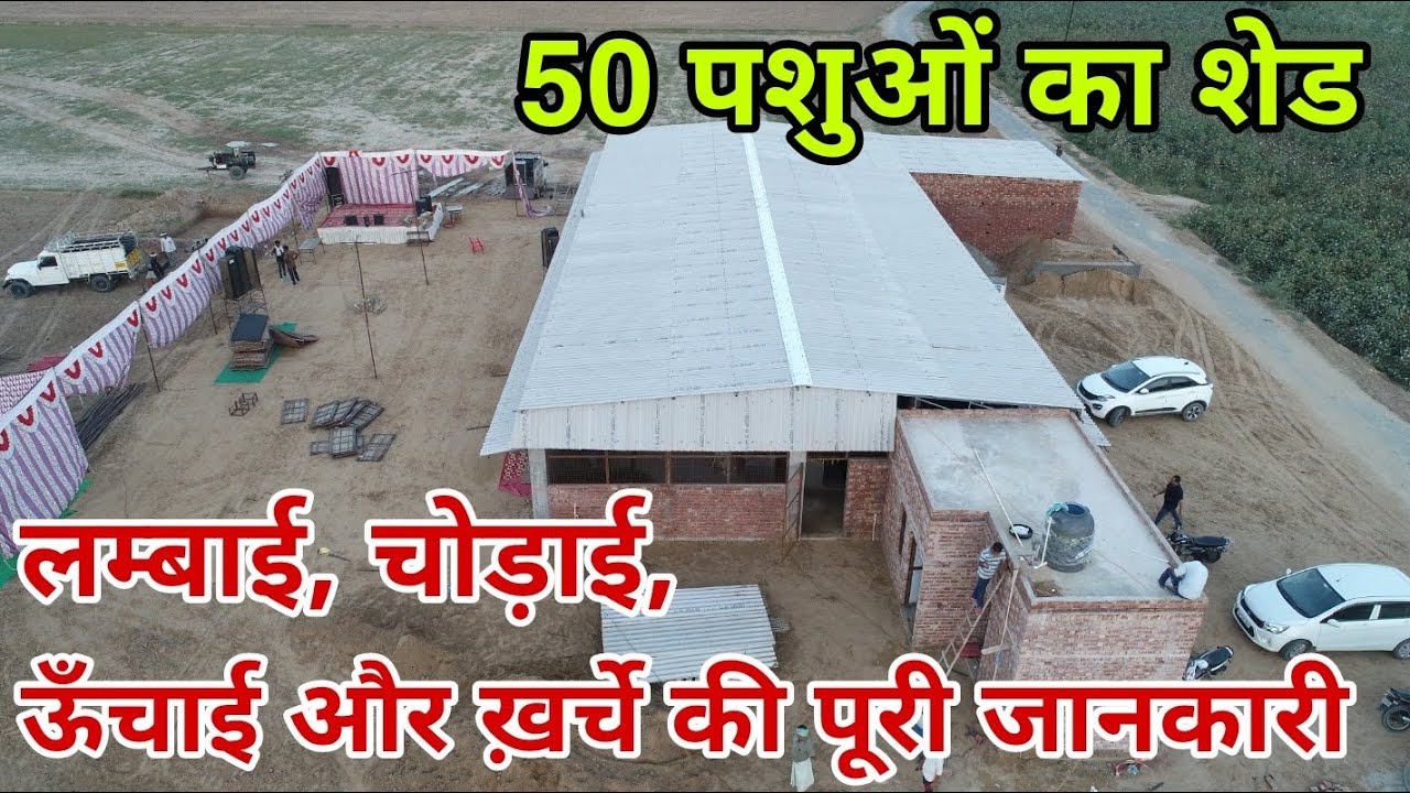Beautiful Shed Making Process : Full Knowledge about its Height, Width, Length and Expenses 👍