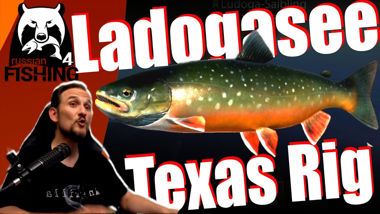 Russian Fishing 4 - Ladogasee - Saibling und Co  Texas Rig