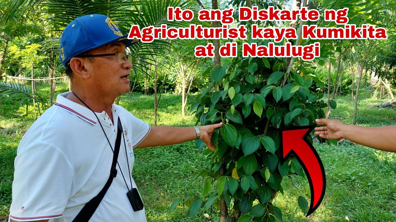 Agriculturist Secrets para Kumita at di Malugi sa iba't ibang Farming
