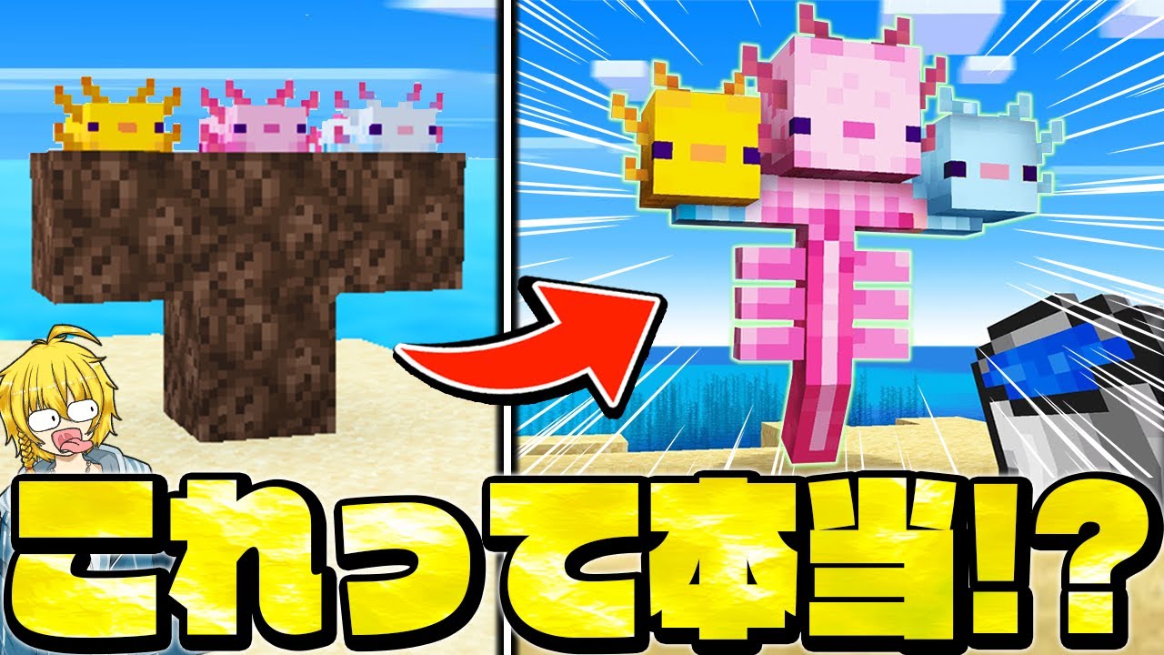 【マイクラ】危険すぎるチート裏技・バグを検証したら衝撃の結果が見つかったｗｗ【Minecraft・マインクラフト】