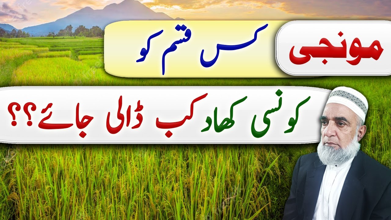 Fertilizer plan for different Rice varieties || Crop Reformer