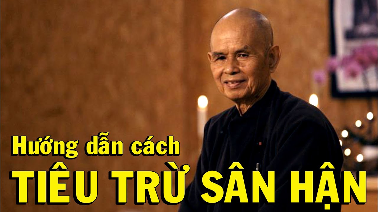 Thiền sư Thích Nhất Hạnh hướng dẫn cách tiêu thụ sân hận, Thiền Đạo