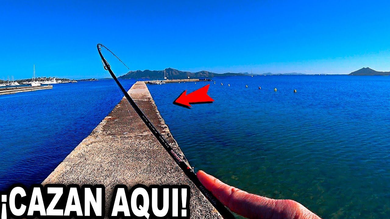 ¡¡LUBINAS, DORADAS Y HERRERAS!! Pesca URBANA divertidísima.