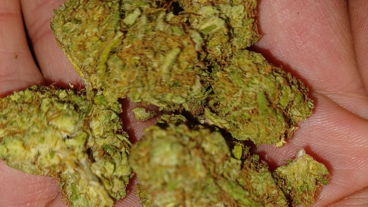 Sour Brulee, Jaxon Wellness, (is it good?) @jaxonwellness1307