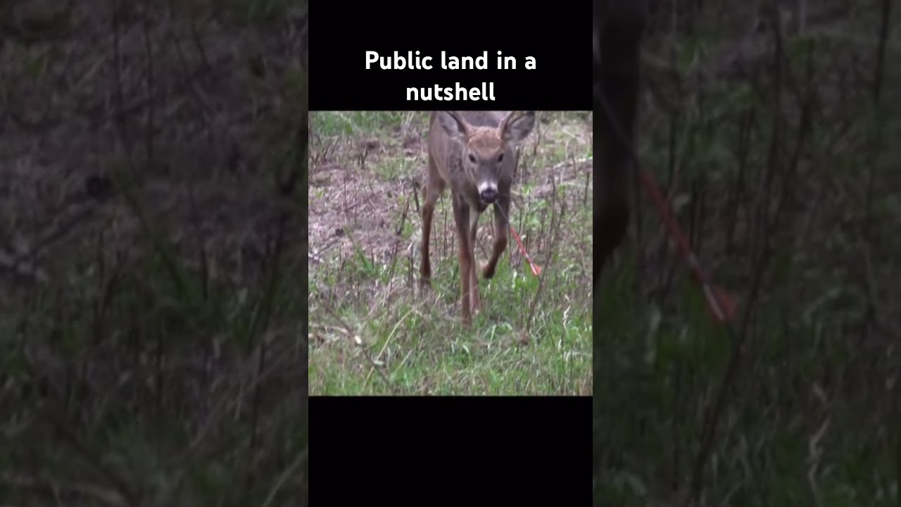 Public land spikes are not safe #publicland #publiclandhunt #hunting #archery #spike