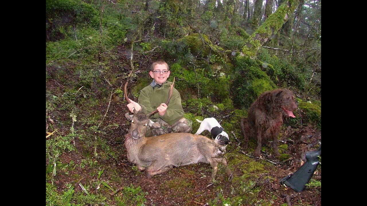 Backridge Butcher 2014 early roar