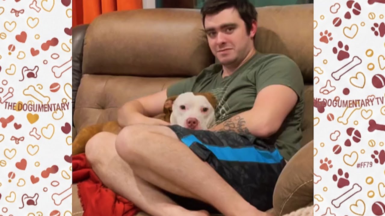 Wife Surprises Husband With A Dog   His Emotional Reaction Will Touch Your Heart