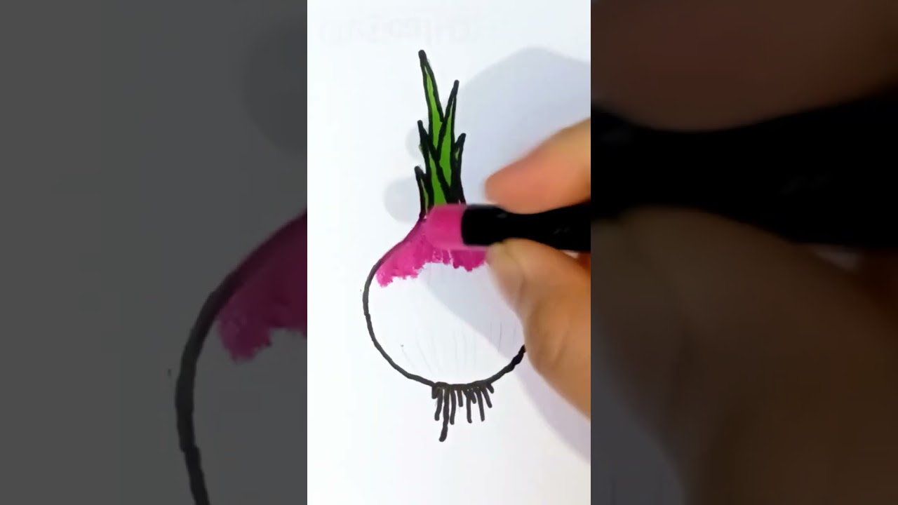 How to Draw Onion very easy || step by step||