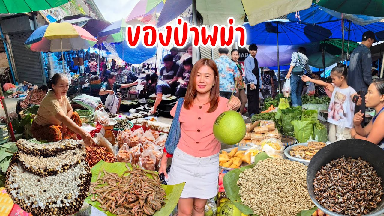 ของป่ามาจากฝั่งพม่า ต่อหลวง จี้กุ่ง รถด่วนเห็ดไม้ไผ่เห็ดฟาน ขายที่ไทย กาดนายบุญยืน