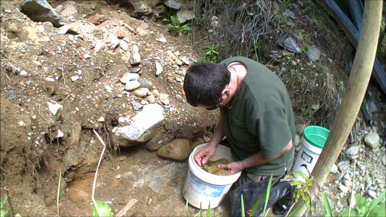 gold  Prospecting  Louis Creek new car