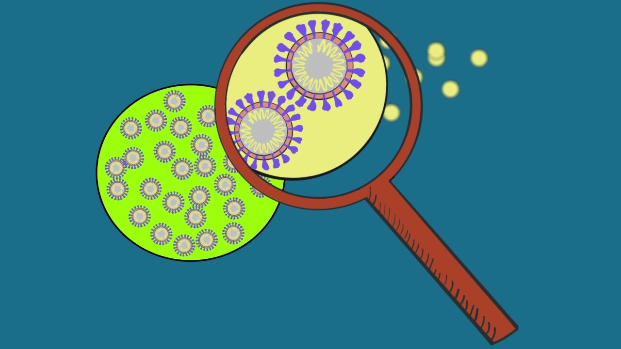Aerosols vs. Droplets: In Transmitting COVID-19, There&rsquo;s a Big Difference
