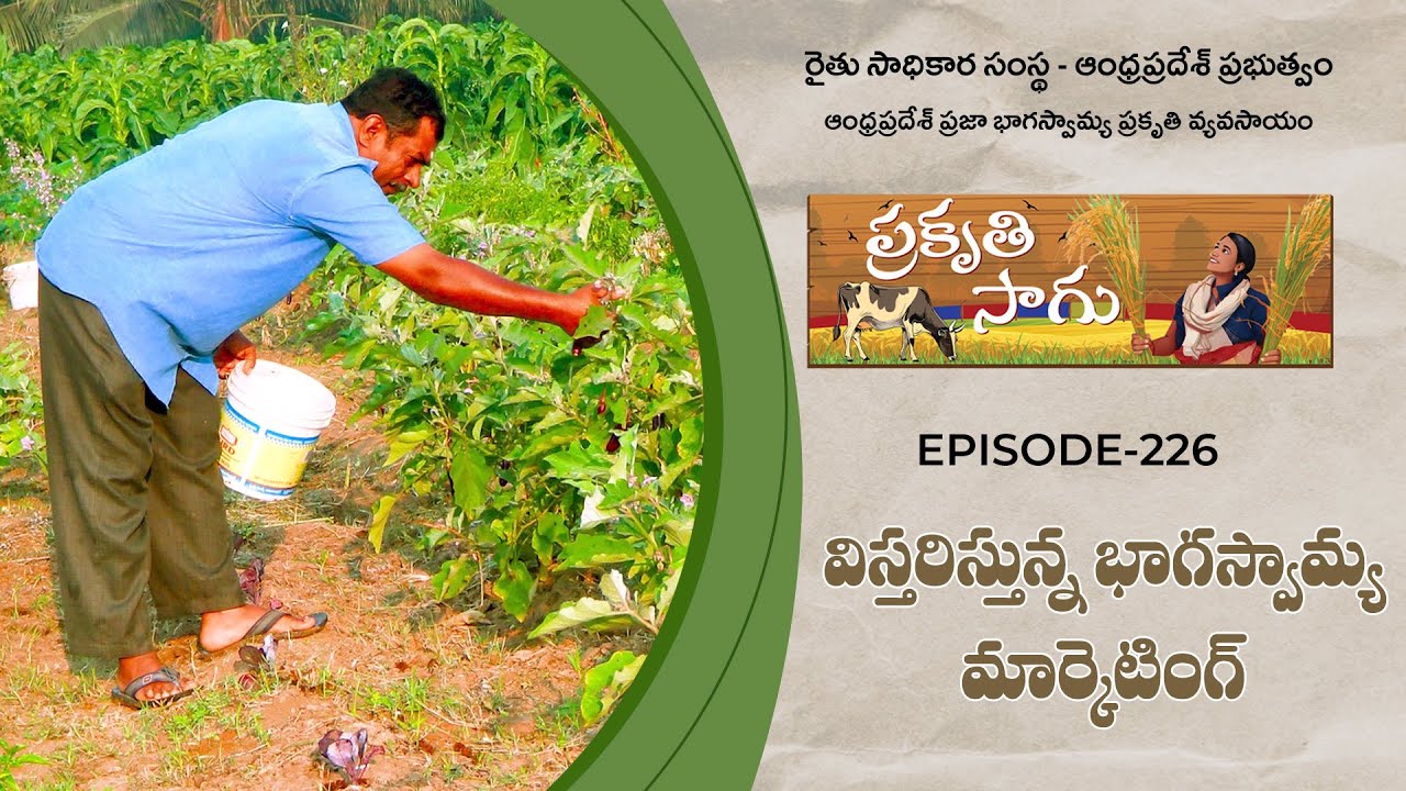 E226 | Расширение партнерского маркетинга