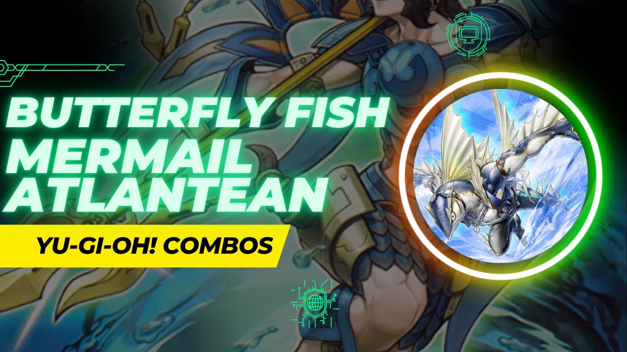 Mermail Atlantean Spreadsheet &ndash; ALL Combos ft. Butterfly Fish (No Toadally Awesome) | Yu-Gi-Oh! 2025