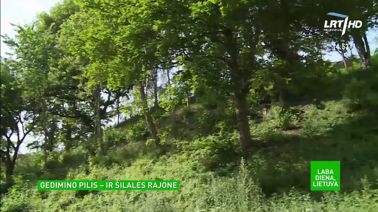 Archeologai neabejoja, kad Gedimino pilis stūksojo ir Šilalės rajone, – rastas net akmeninis sostas