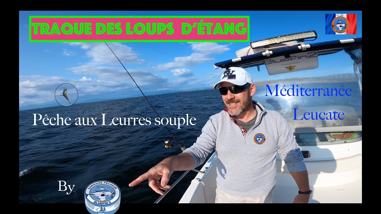 Traque des Loups d'étang aux leurres