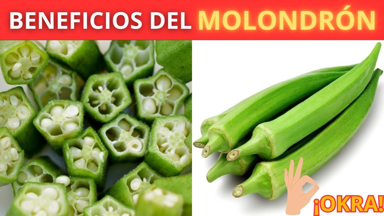 Beneficios del MOLONDR&Oacute;N o OKRA | Propiedades y Usos para la Salud #shorts #okra #bienestar #salud