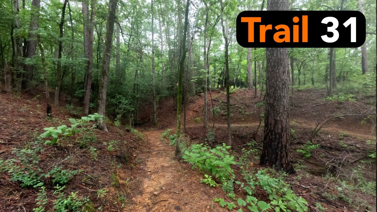 Steep Ravine Trail | Mission Tejas State Park | Grapeland Texas