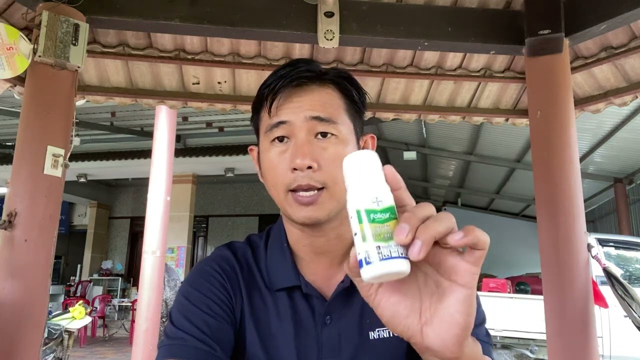Folicur 430SC. quản l&yacute; lem l&eacute;p hạt, s&aacute;ng hạt gi&aacute; tốt