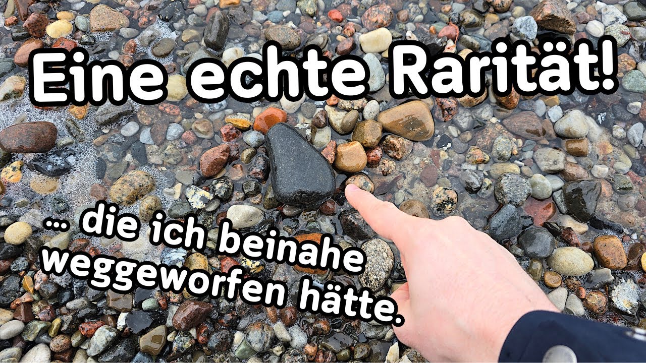 Dieser Stein ist total besonders! Fossilien suchen an der Ostsee