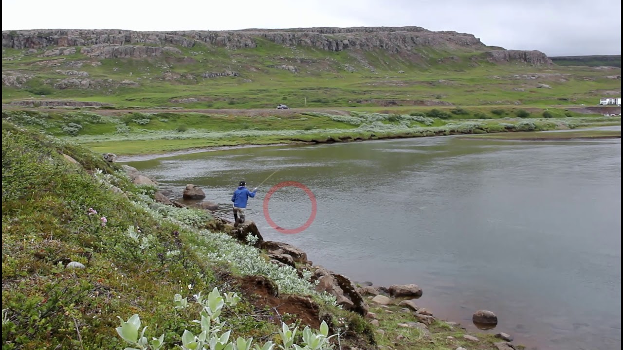 Arctic char takes the dry fly, J&ouml;kla river system, Iceland