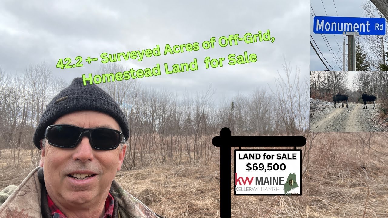 Northern Maine Borderland for Hunting & Homesteading | 42 Acres of Freedom
