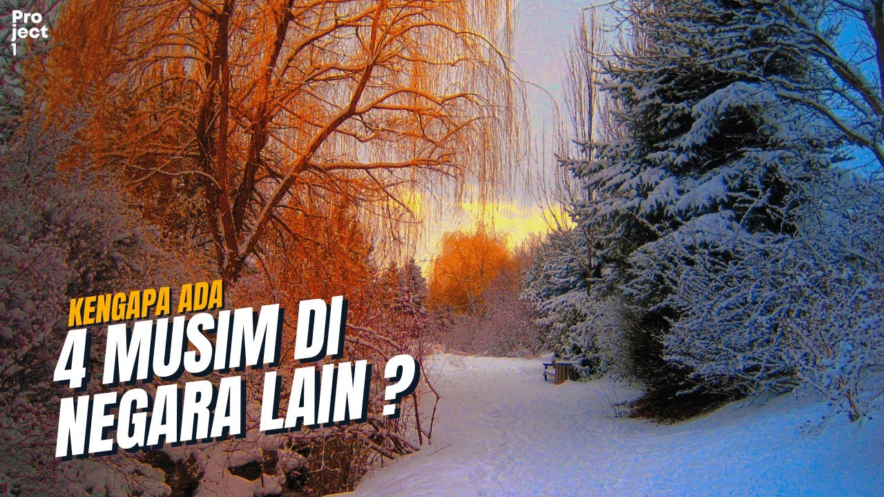 Mengapa Negara Lain Punya Empat Musim? Fakta dan Penjelasannya