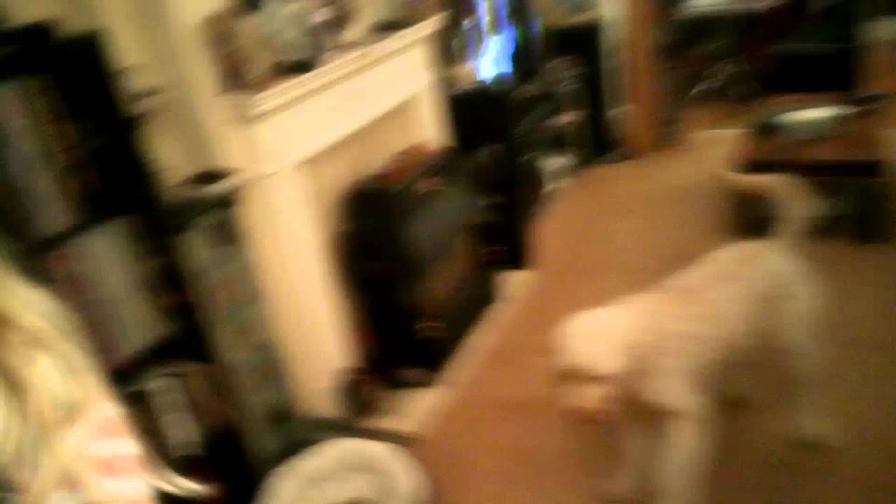 Yeah I Got Skills - Andy Dog Catch - Joe Charman impression