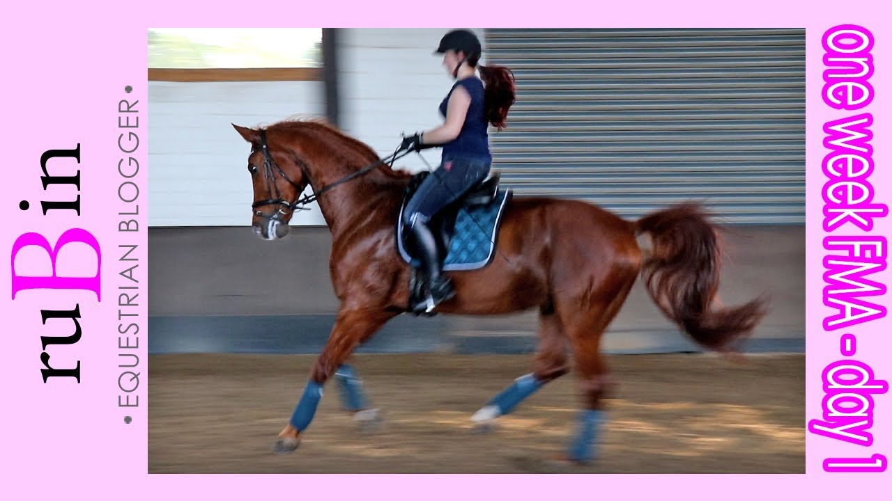 ! Reiten, Fertig machen & Versorgen - ONE WEEK FMA | DAY 01