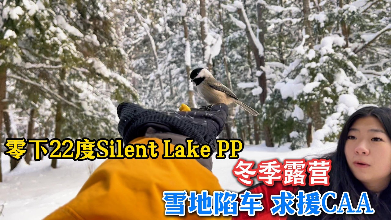 0135.【爸爸去哪儿】在零下22度的Silent Lake Provincial Park冬季露营是什么感受，一不小心开进滑雪道，陷车。。花了6小时才等来救援。