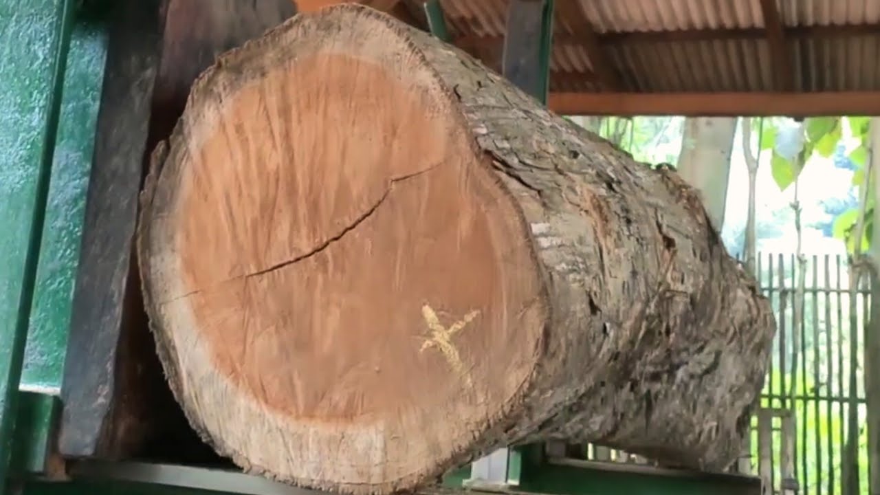 The process of turning teak wood into beautiful furniture blocks 