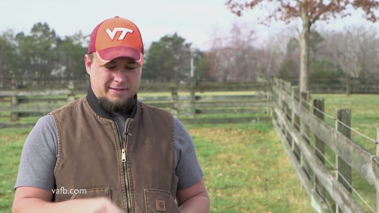 Farm Sitting